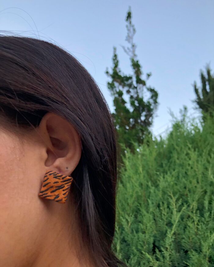 Brinco Tigre