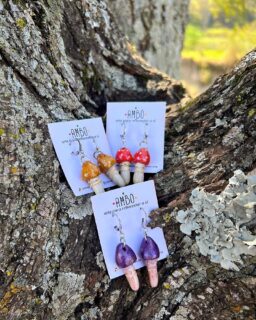 Os cogumelos são lembretes de que a natureza é cíclica e tudo na terra tem sua função, partes de um organismo maior. 🍃