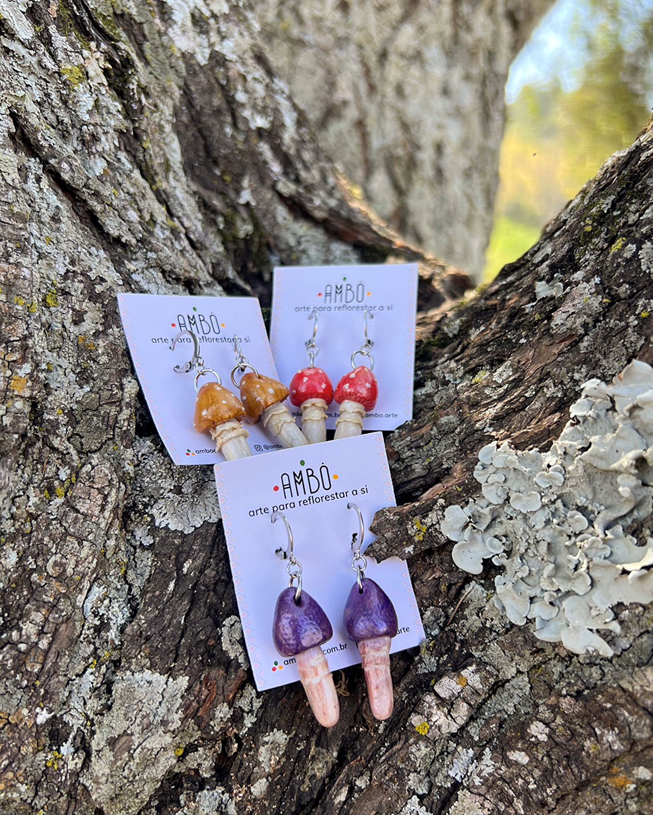 WhatsApp Image 2025-08-29 at 20.05.34