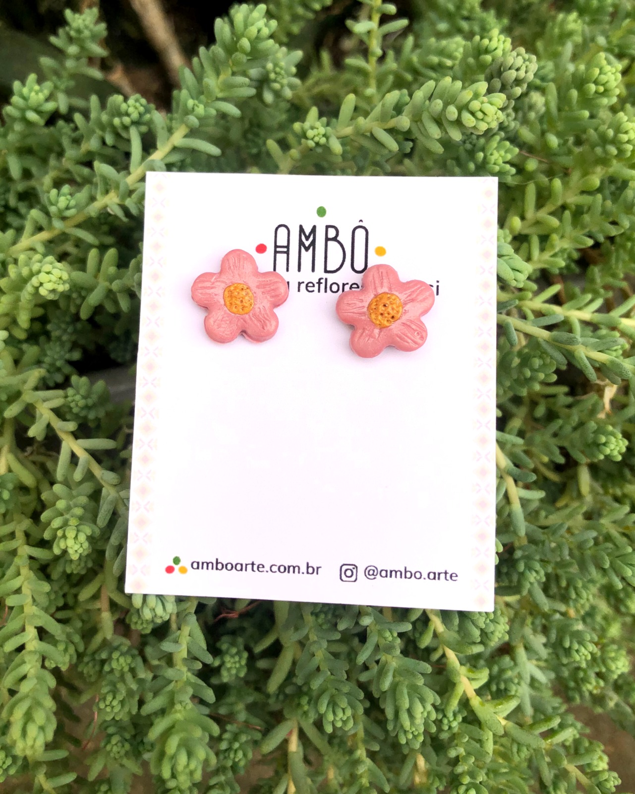 WhatsApp Image 2026-01-12 at 09.02.38 (1)