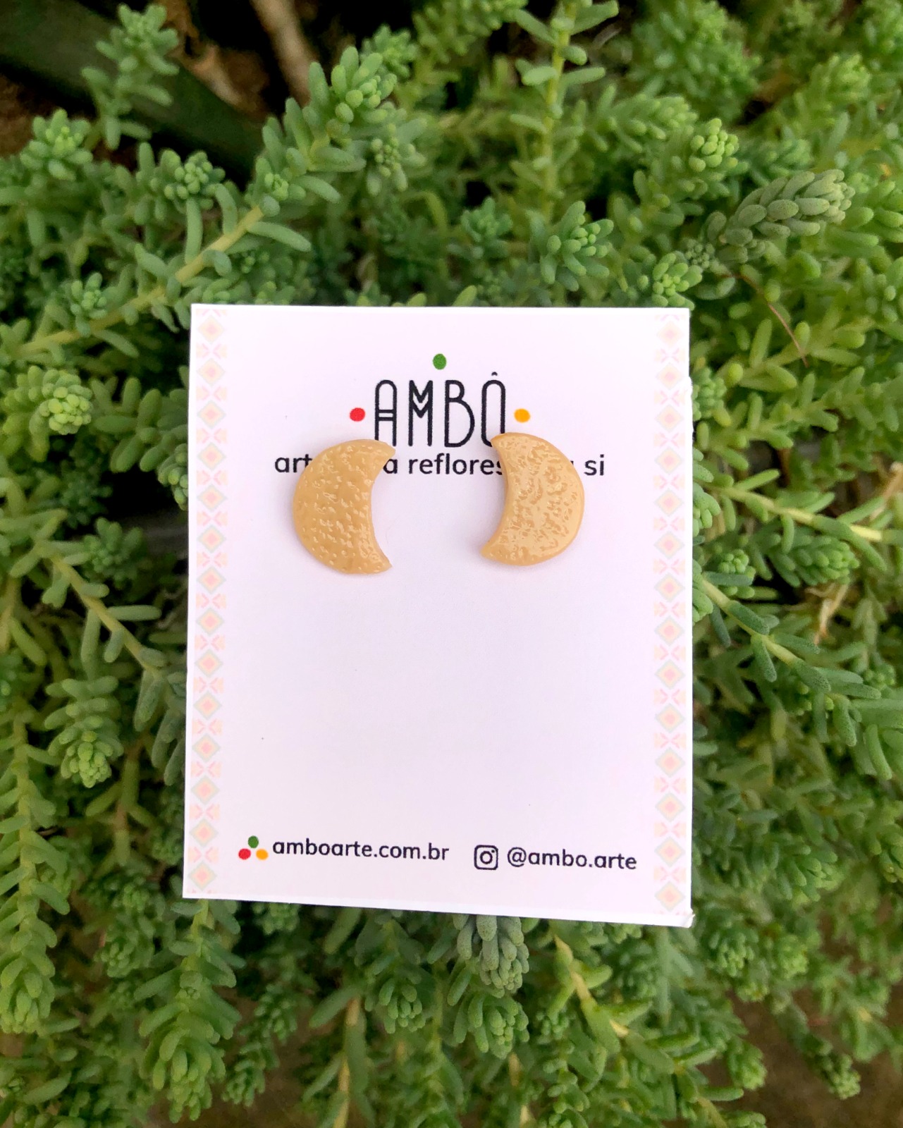 WhatsApp Image 2026-01-12 at 09.02.38 (6)