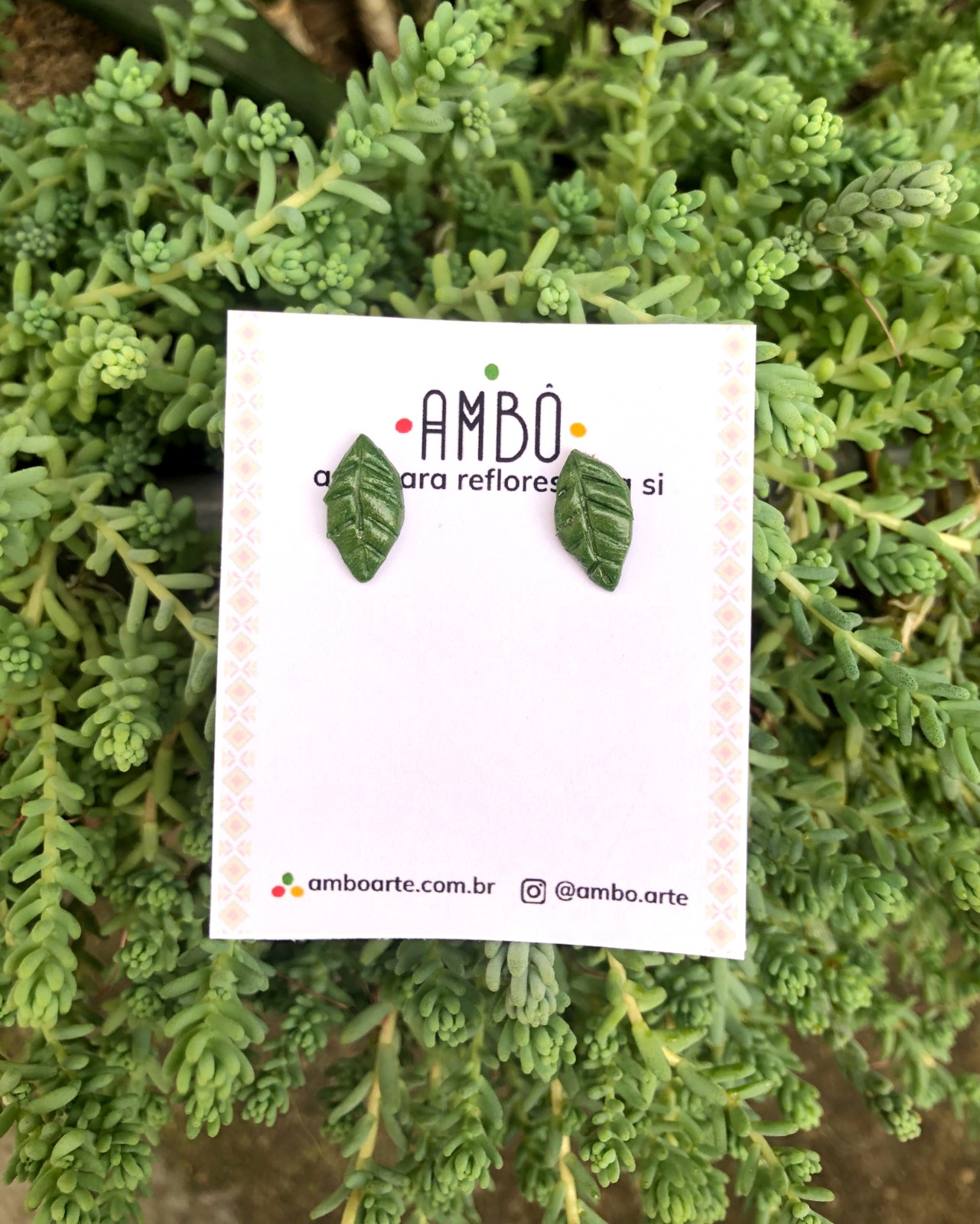 WhatsApp Image 2026-01-12 at 09.02.38 (7)