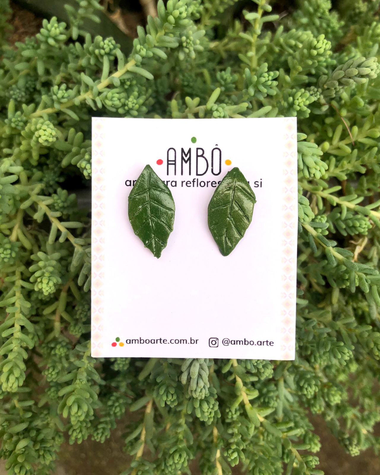 WhatsApp Image 2026-01-12 at 09.02.38 (8)