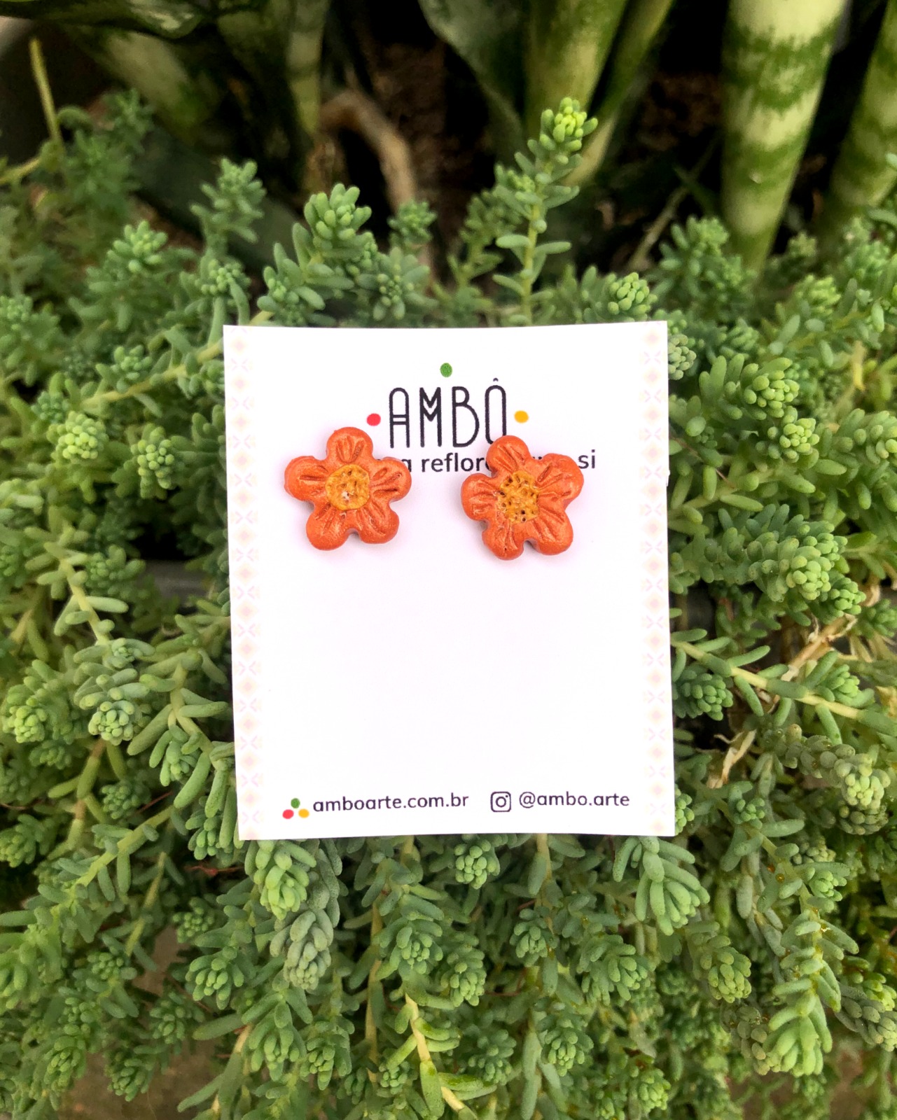 WhatsApp Image 2026-01-12 at 09.02.38